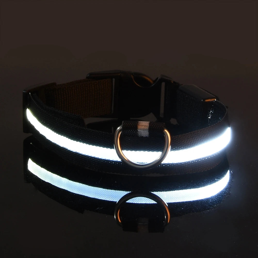 Nylon LED Night Safety Flashing Glow in the Dark Dog Leash 