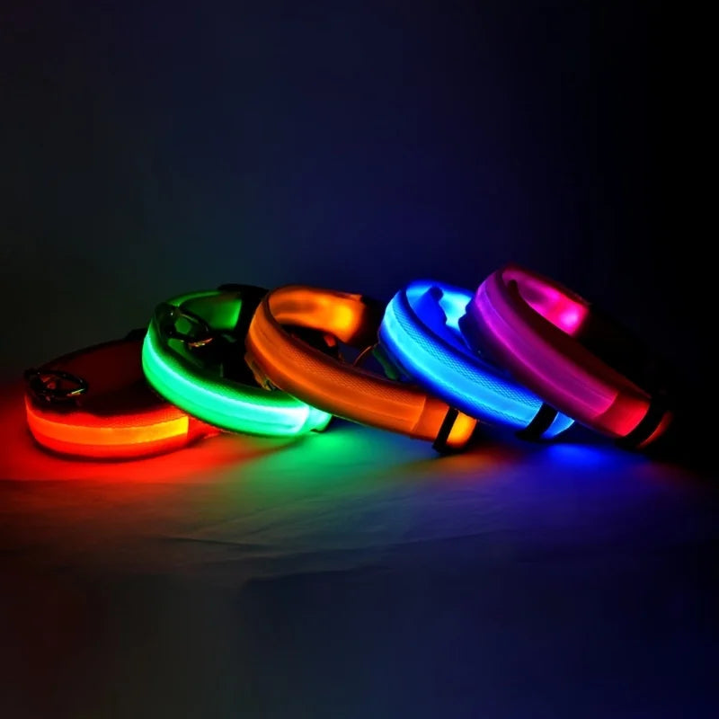 Nylon LED Night Safety Flashing Glow in the Dark Dog Leash 