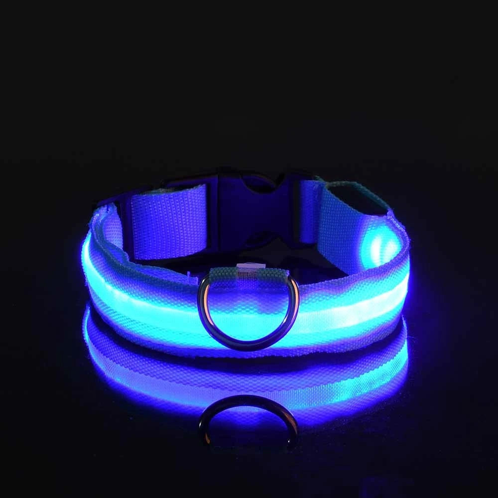 Nylon LED Night Safety Flashing Glow in the Dark Dog Leash 