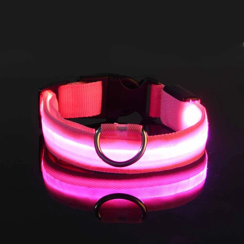 Nylon LED Night Safety Flashing Glow in the Dark Dog Leash 