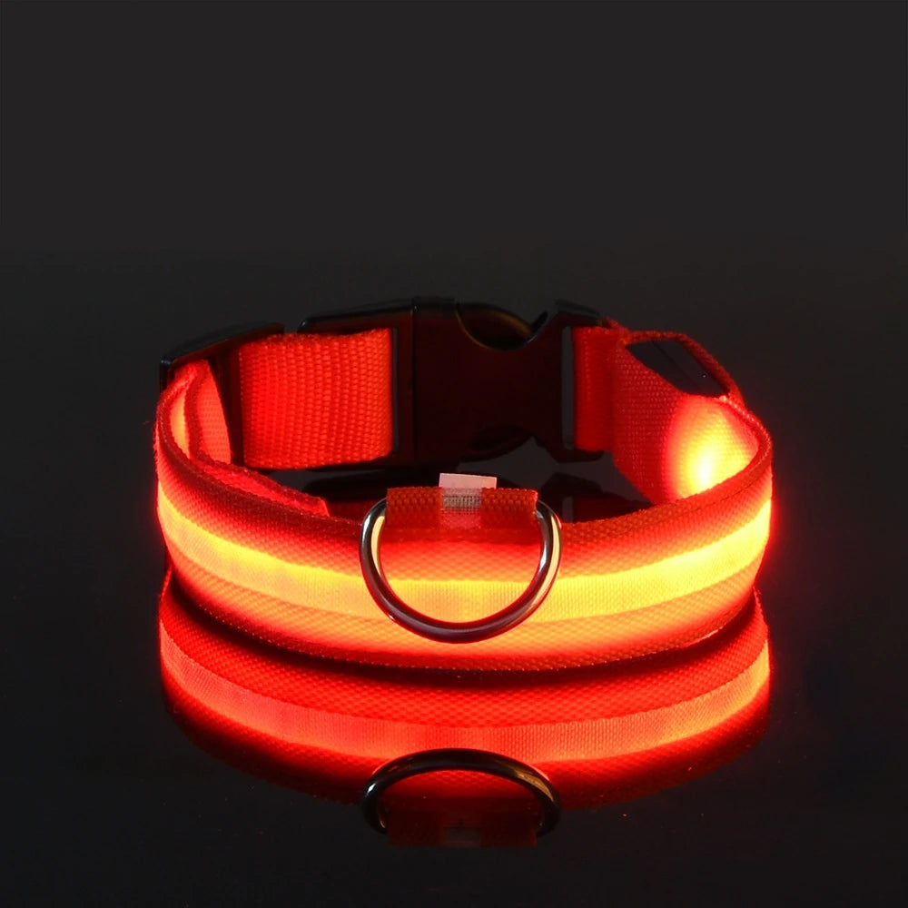 Nylon LED Night Safety Flashing Glow in the Dark Dog Leash 