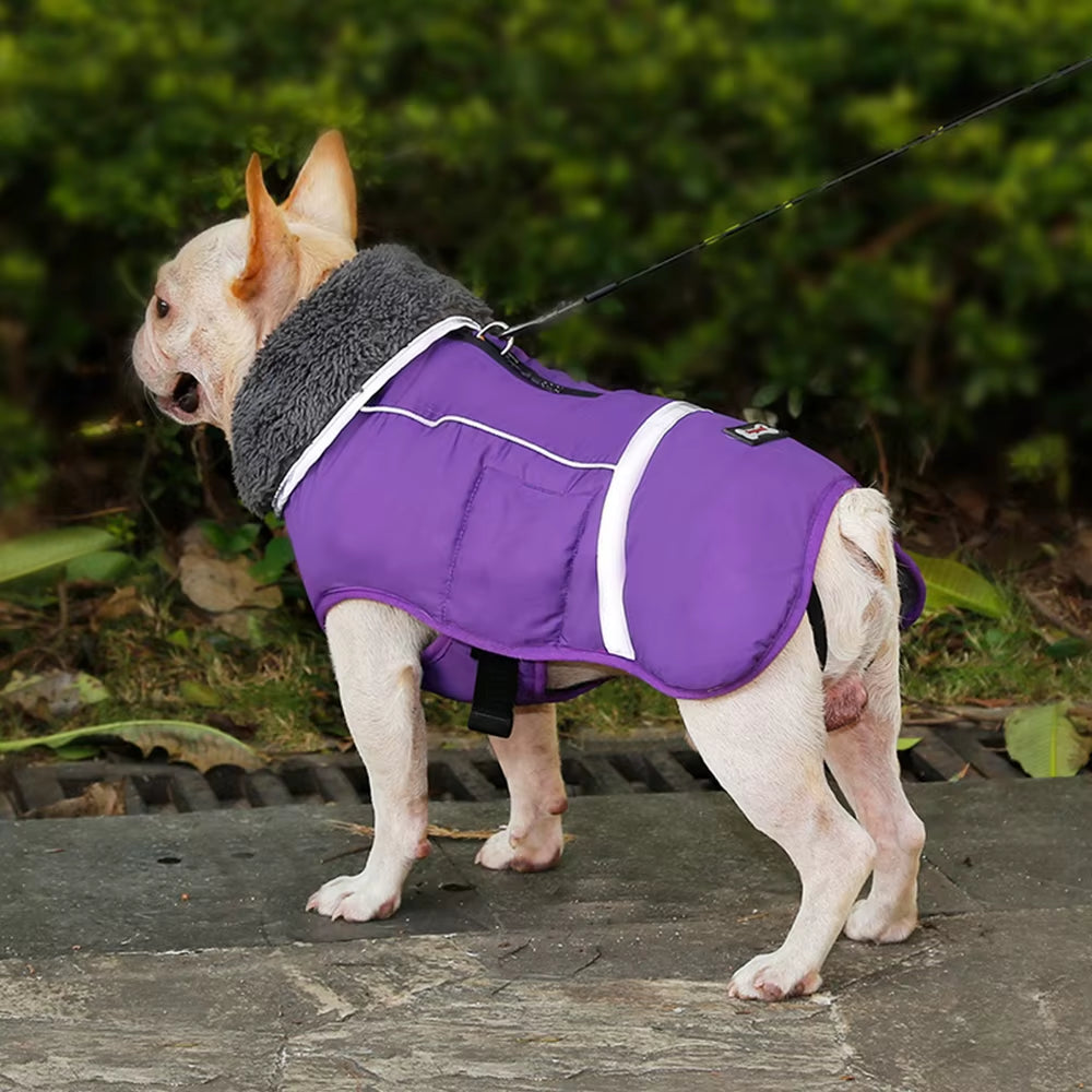 Spring/Fall New Thickened Warm Dog Clothes Waterproof Reflective  Coat Jacket