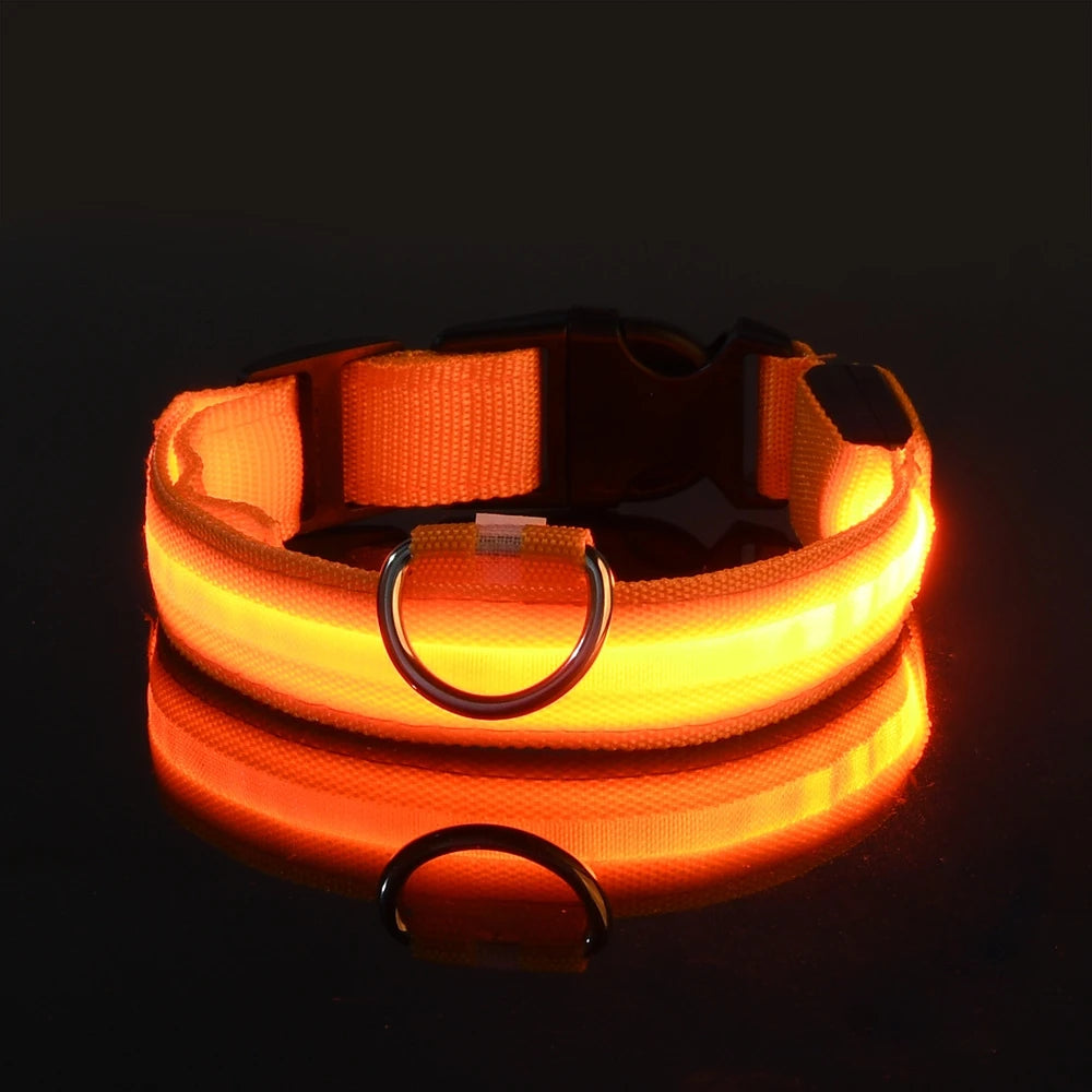 Nylon LED Night Safety Flashing Glow in the Dark Dog Leash 