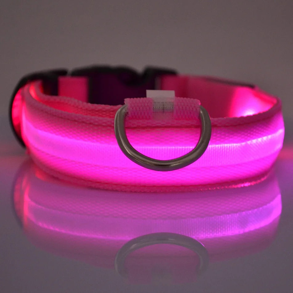 Nylon LED Night Safety Flashing Glow in the Dark Dog Leash 