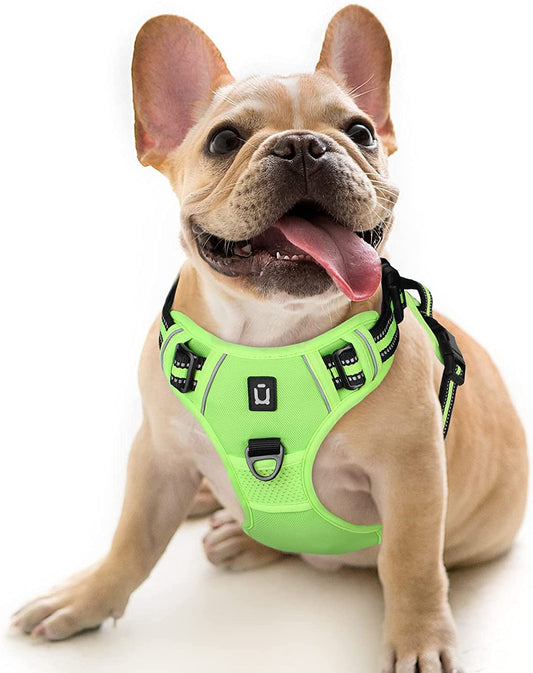 Dog Harness Waldseemuller Dog Harness for Large Dogs 