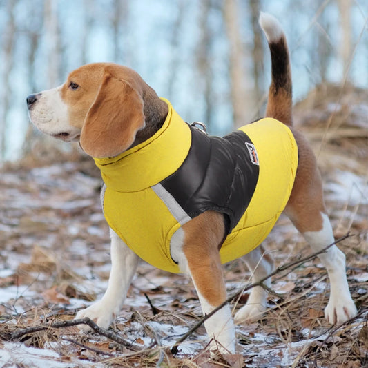 Waterproof Dog Jacket Winter Warm Dog Clothes for Small Large Dogs Puppy