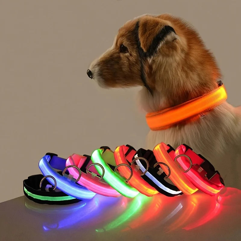 Nylon LED Night Safety Flashing Glow in the Dark Dog Leash 