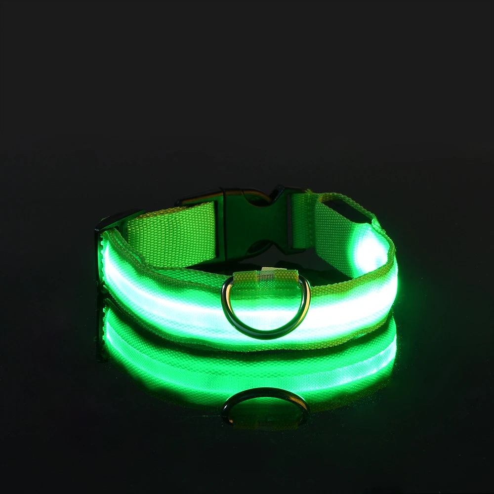 Nylon LED Night Safety Flashing Glow in the Dark Dog Leash 