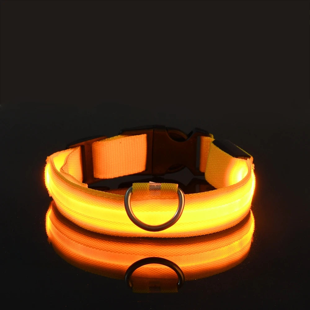 Nylon LED Night Safety Flashing Glow in the Dark Dog Leash 